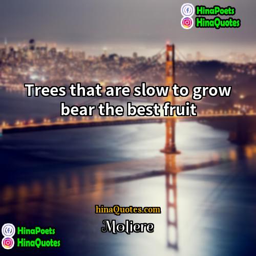 Moliere Quotes | Trees that are slow to grow bear